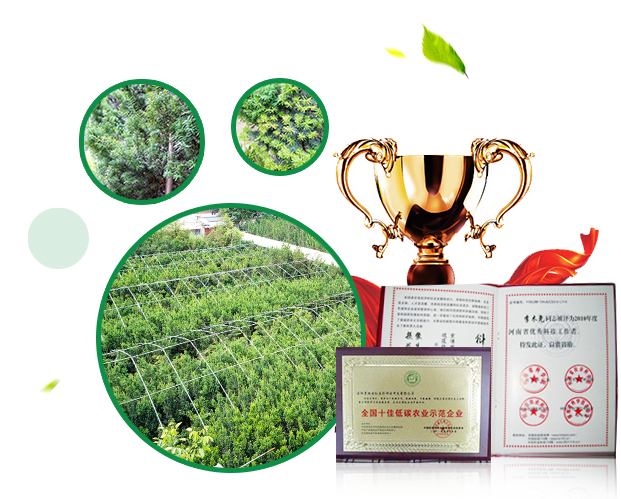 洛陽(yáng)百思特精密機(jī)械制造有限公司